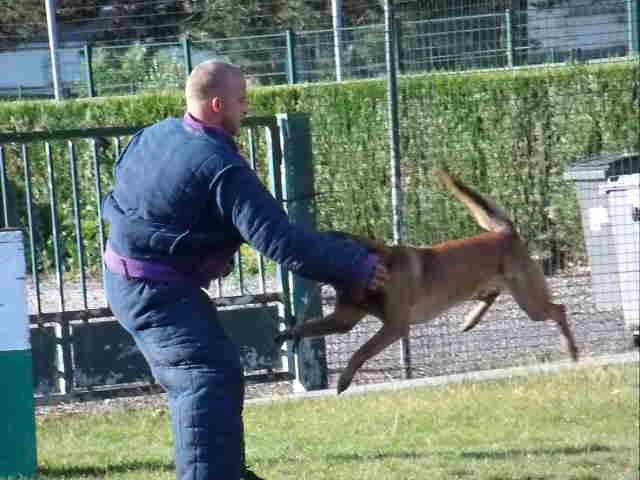 Varko des malistaffs